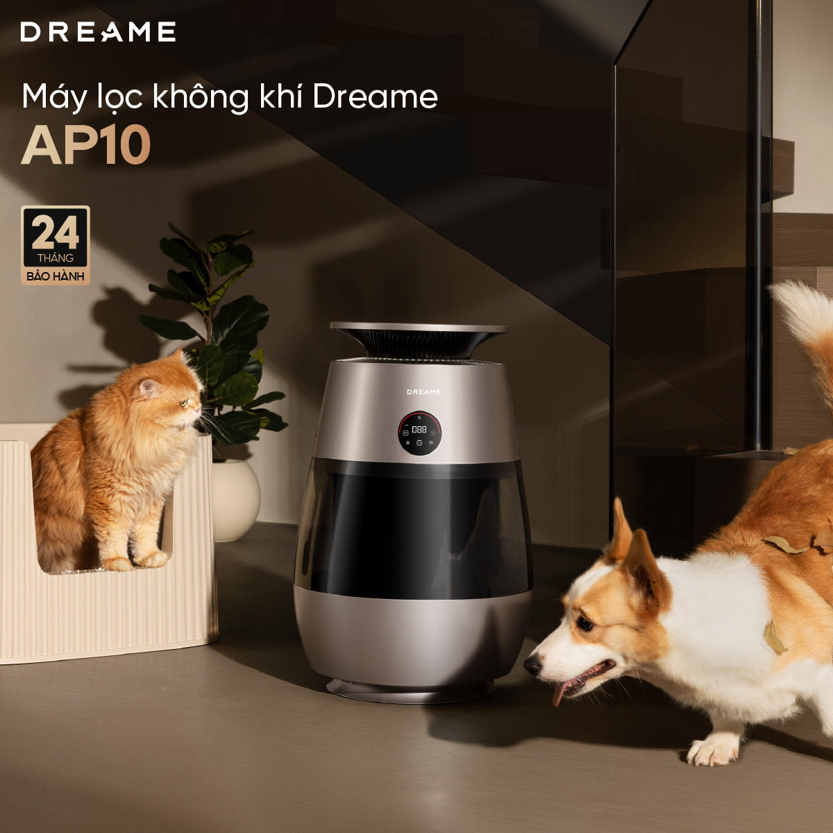 Máy lọc không khí Dreame AP10