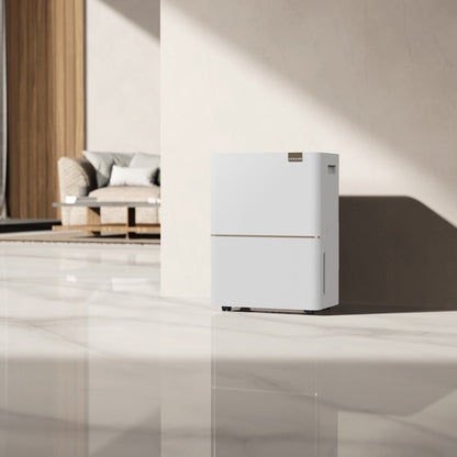 Máy hút ẩm Dreame DB40